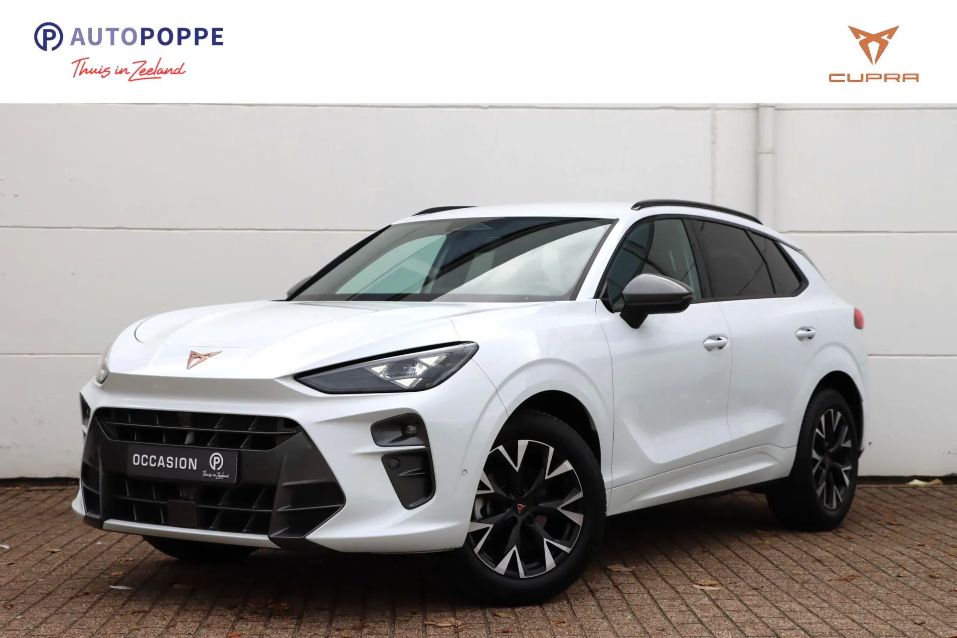 CUPRA Terramar 1.5 TSI eTSI Business