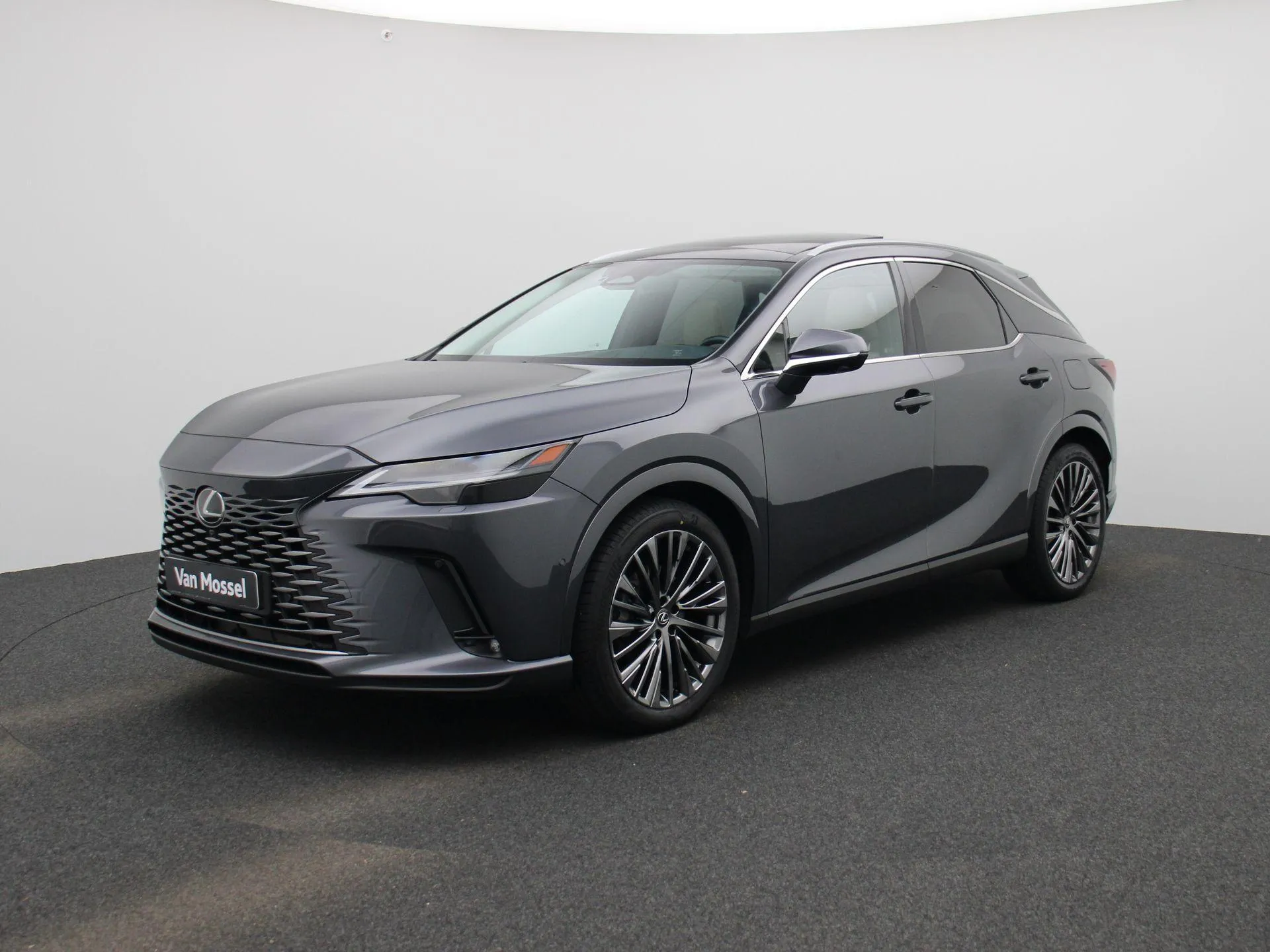 Lexus RX 450h AWD President Line