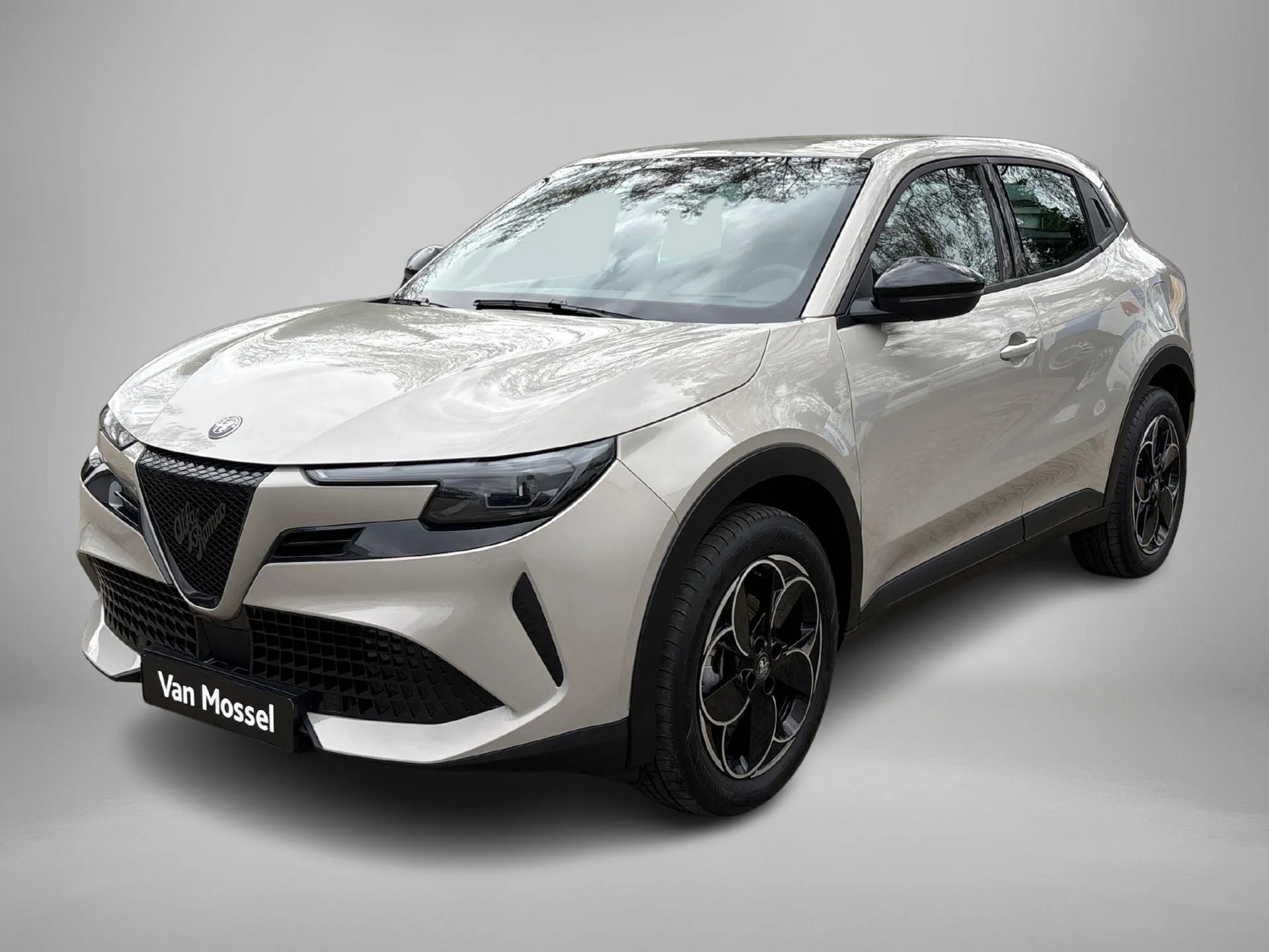 Alfa Romeo Junior