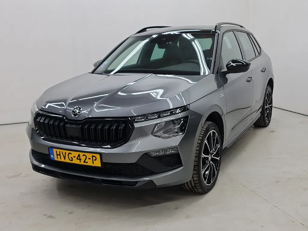 Škoda Kamiq leasen