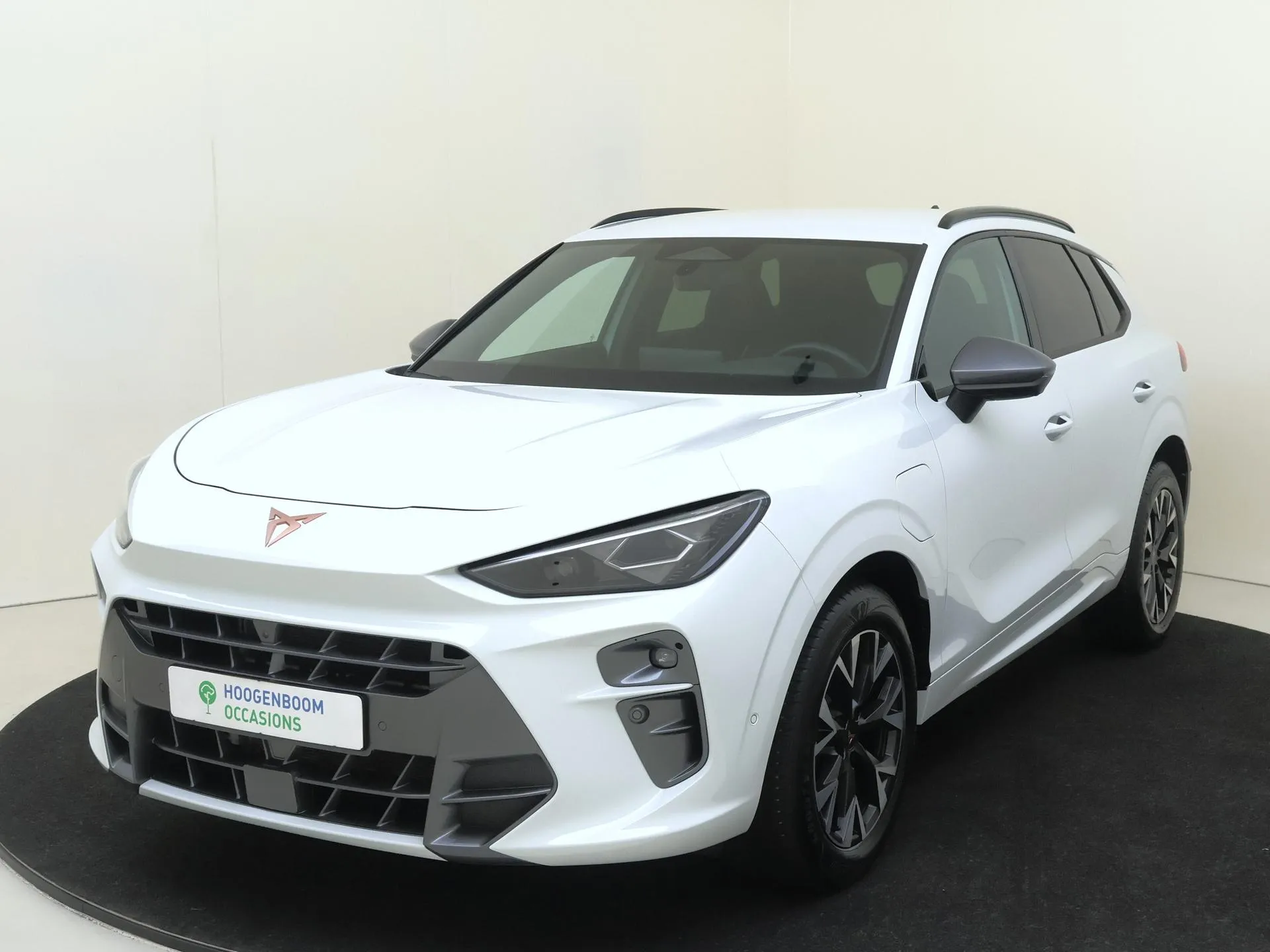 Cupra Terramar — foto 1